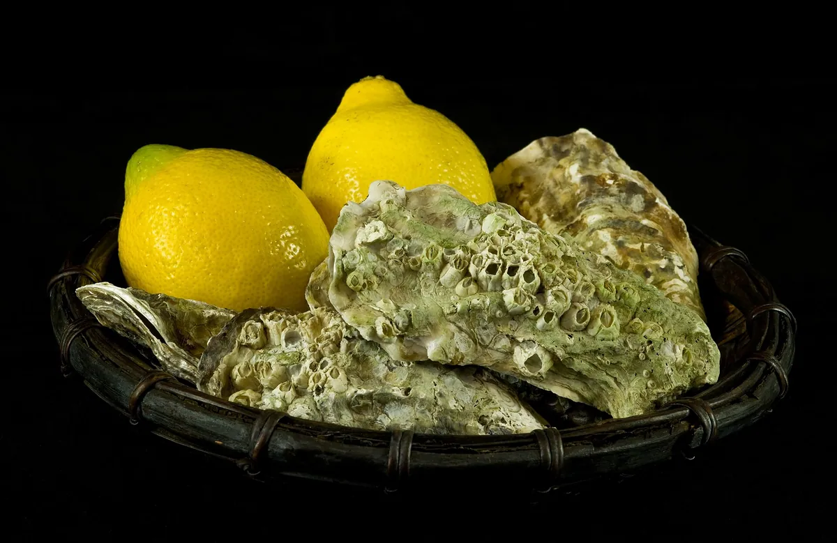 Seafood food typical of Park House Hotel